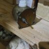 Электродвигатель асинхронный Д-32 (127В 72) оборота с хранения